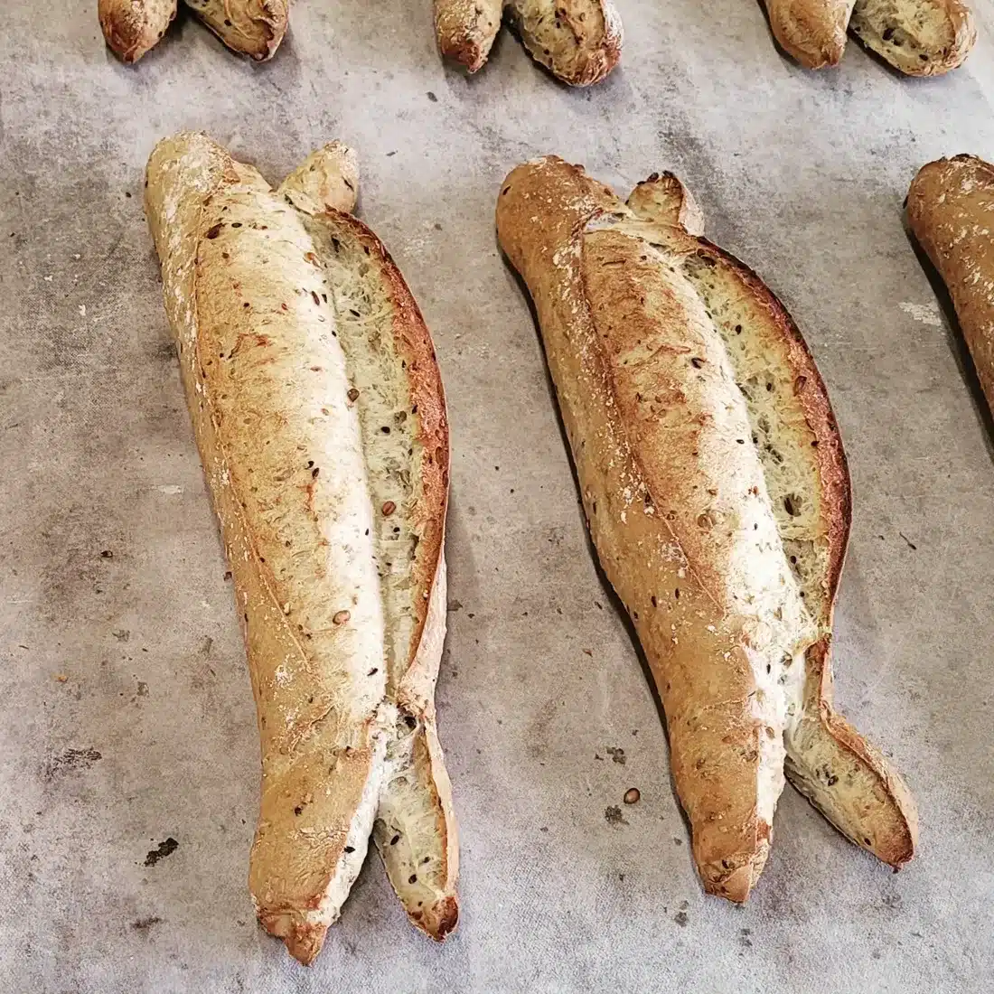 Baguettes aux graines à la sortie du four
